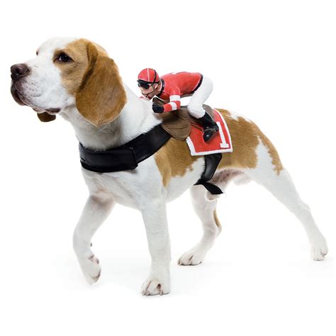 Dog Riders Pet Costumes | The Green Head