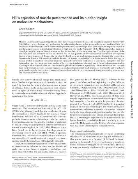 Crossbridge Model of Muscle Contraction 的图像结果