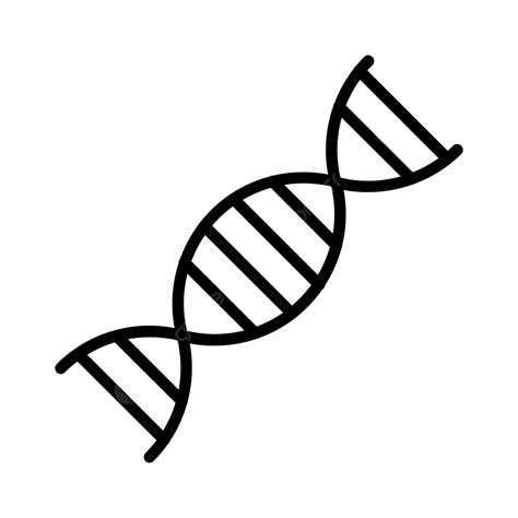 Icono De Línea De Adn Vector PNG ,dibujos Secuencia De Adn, Adn, Hebra ...