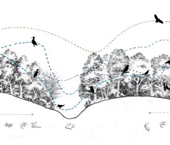 SAMYUJ- Restoring bird habitat through native flora | CEPT - Portfolio