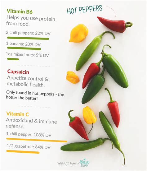 Chili Pepper Uses And Benefits at Anthony Cline blog