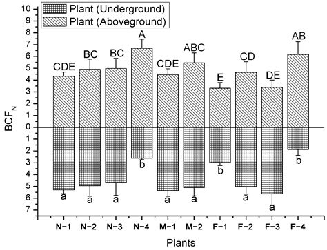 Stoichiometric and Accumulation Characteristics of Nitrogen and ...