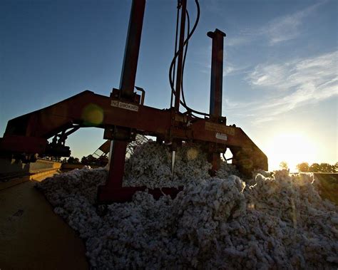 Image result for Module Making