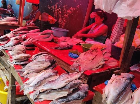 MARLON ASHANGA - JUNGLE GUIDE (2026) All You Need to Know BEFORE You Go ...