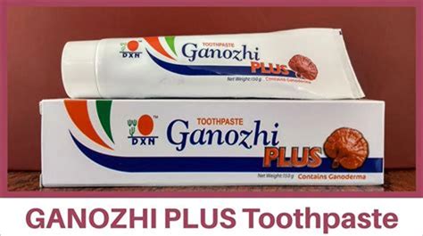DXN GANOZHI TOOTHPASTE PACK OF 1 – Tmart