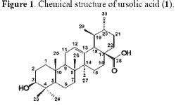Variation of Ursolic Acid Content in Eight Ocimum Species from ...