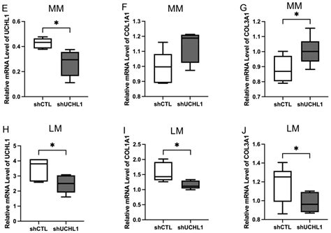Pivotal Role of Ubiquitin Carboxyl-Terminal Hydrolase L1 (UCHL1) in ...
