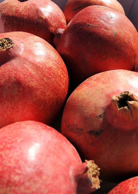 Kandahar farmers thrive as pomegranates export to international market ...