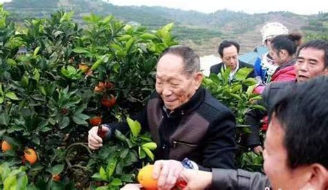 83岁湖南老人含泪忆李玟：她曾帮我们卖橙，我们全村都感谢她-三湘都市报