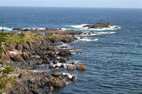 THE BEST Yakushima-cho Hiking Hotels 2026 (with Prices)