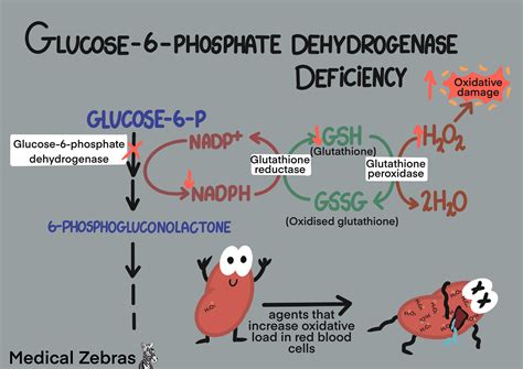 Medical Zebras - Biochemical Diseases