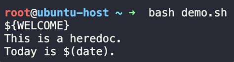 How to Create Eof in Bash Script 的图像结果