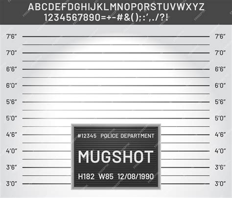 Premium Vector | Mugshot template