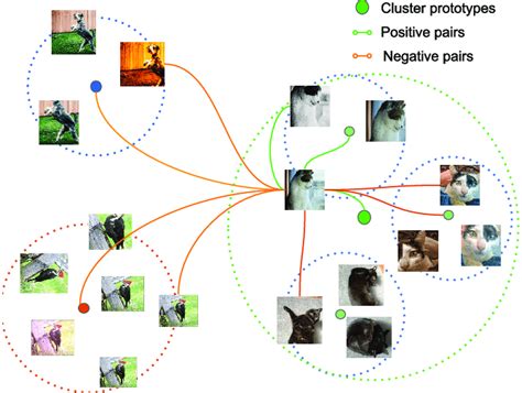Image result for Contrastive Distribution Examples