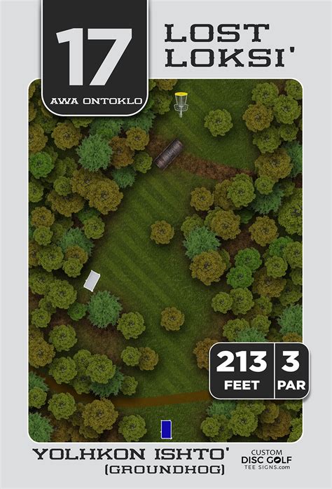 Image result for Disc Golf Course Map Sign