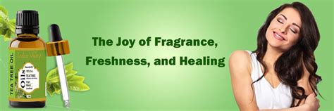 Pure & Organic Tea Tree Essential Oil – Indus Valley