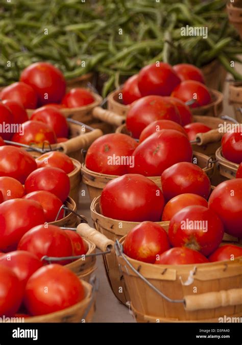 Organic Local Food 的图像结果