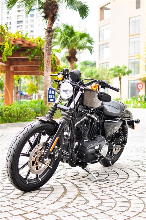 Iron 883 Python Slip-On 的图像结果