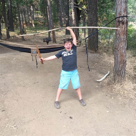 Jenkinson Campground—Sly Park Recreation Area Camping | The Dyrt