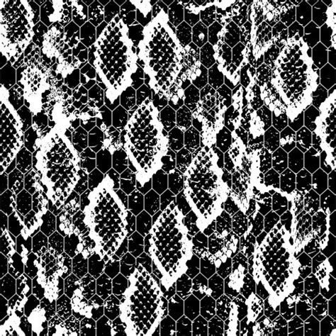 Image result for Python Snake Texture Pattern