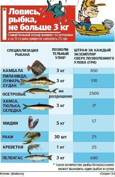 Ловля рыбы сетями: какой штраф предусмотрен?