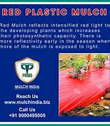 Image result for Rabbit Nest Mulch