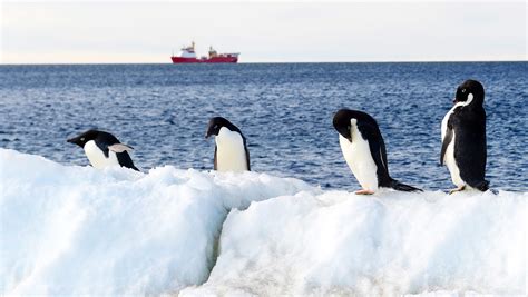 Antarctica temperature hit 63.5 degrees, sets new record high temperature