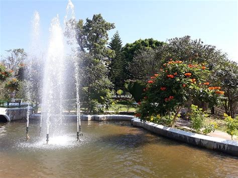 HOMESTAY KHAOYAI WANG NAM KHIAO (Khao Yai National Park) - Inn Reviews ...