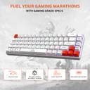 EVOFOX Katana S Mini Rechargeable Mechanical Tri-Mode (3xBT, 2.4GHz ...