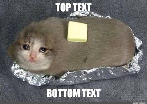 Bottom Text Meme 的图像结果