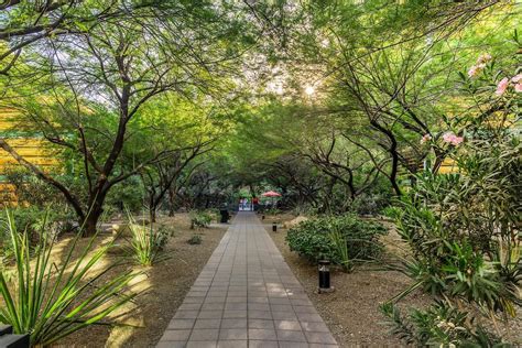 Optima Sonoran Village® Photo Gallery | Scottsdale Luxury Apartment ...