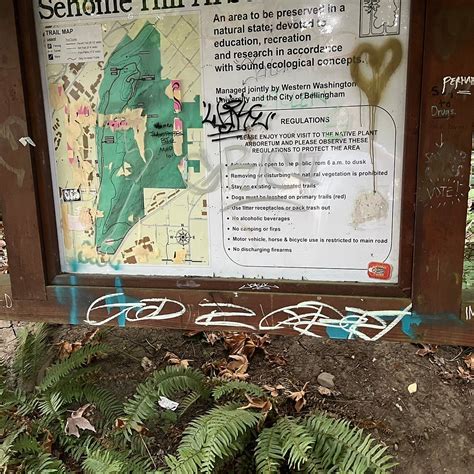 SEHOME HILL ARBORETUM (Bellingham) - 2022 What to Know BEFORE You Go