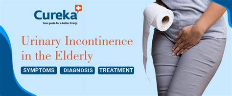 Urinary Incontinence in the Elderly: Symptoms and Treatment