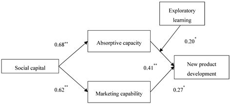 Social Capital and Sustainable Innovation in Small Businesses ...