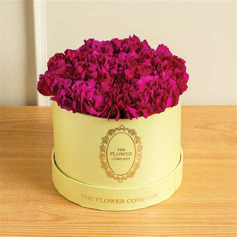Carnations - Petite Ronde – The Flower Company