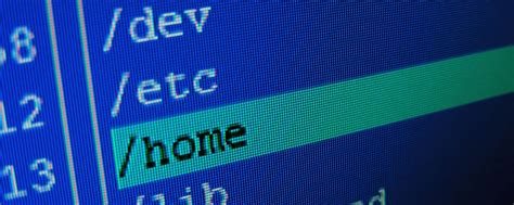Linux Command Line 的图像结果