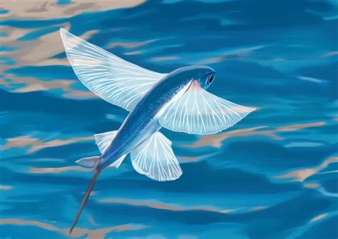 ArtStation - Flying fish (digital painting)