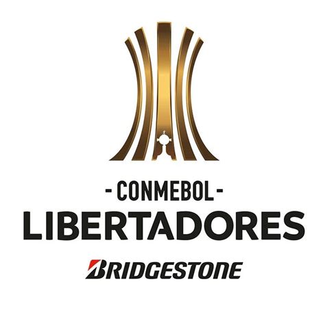耐克发布2019年南美解放者杯官方比赛球 - 足球 - 足球鞋足球装备门户_ENJOYZ足球装备网
