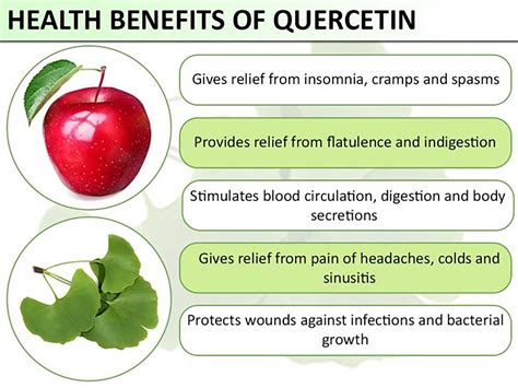 Quercetin and its Benefits – Elev8 Presents