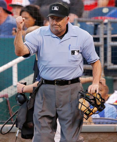 Baseball Umpire 的图像结果