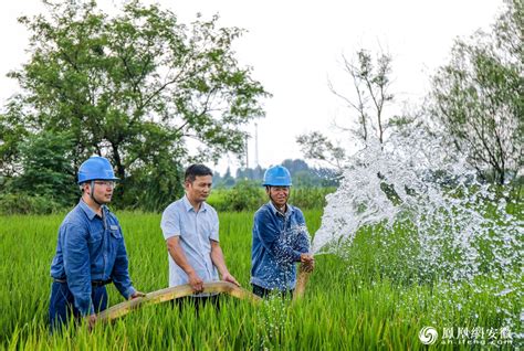安徽铜陵：高标准农田促进乡村振兴-人民图片网