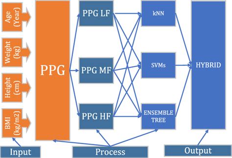 Intelligent Algorithm Model 的图像结果