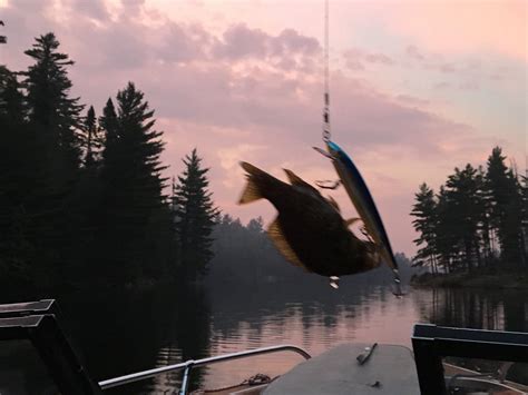 FISHING ON LAKE TEMAGAMI (2026) All You Need to Know BEFORE You Go ...