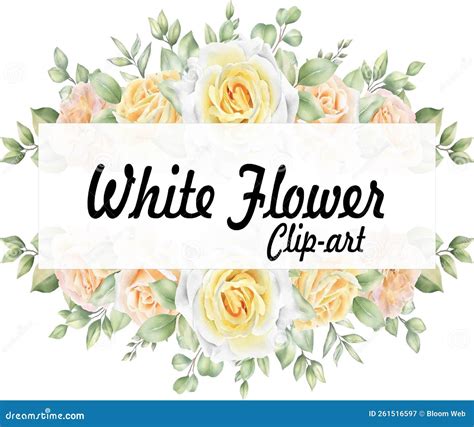 Watercolor White Floral Clipart Stock Image - Image of greenery ...