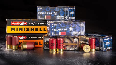 Image result for Do 12 Mini Shells
