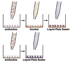 Image result for Blocking Step ELISA