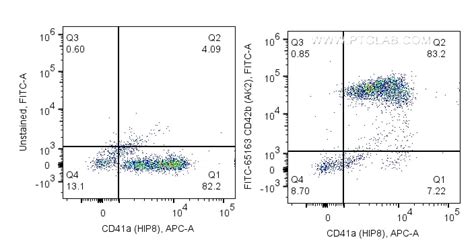 CD42b antibody (FITC-65163) | Proteintech