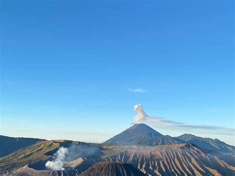 TRIPLINE (2026) All You Need to Know BEFORE You Go (with Photos ...