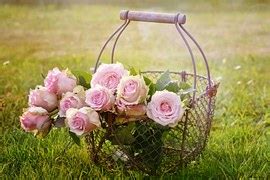 Image result for Integration First Principles