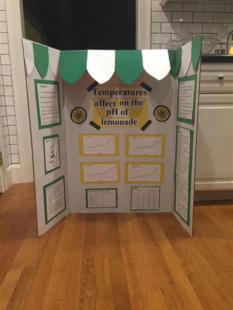 Real Science Projects 的图像结果